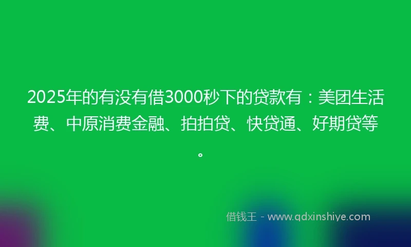 2025年的有没有借3000秒下的贷款有：美团生活费、中原消费金融、拍拍贷、快贷通、好期贷等。