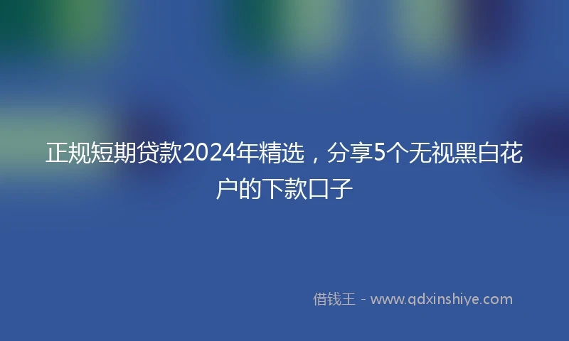 正规短期贷款2024年精选，分享5个无视黑白花户的下款口子