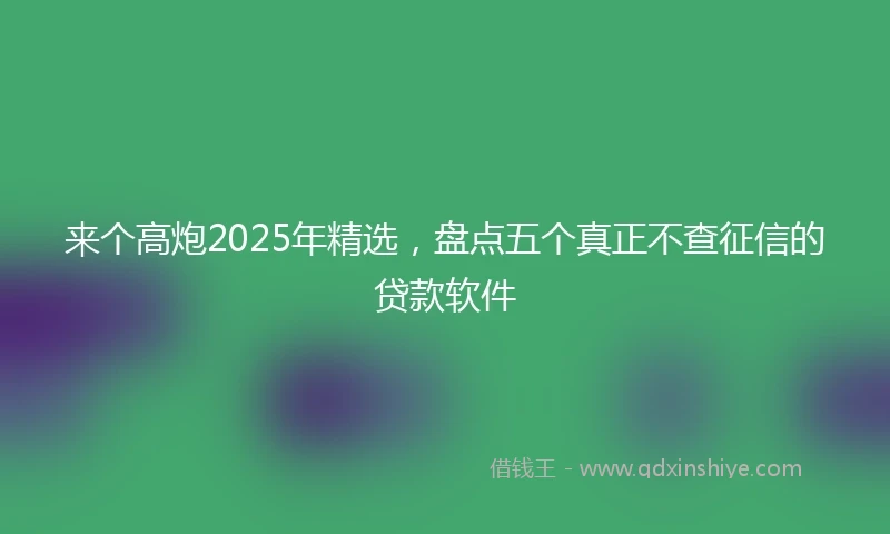 来个高炮2025年精选，盘点五个真正不查征信的贷款软件