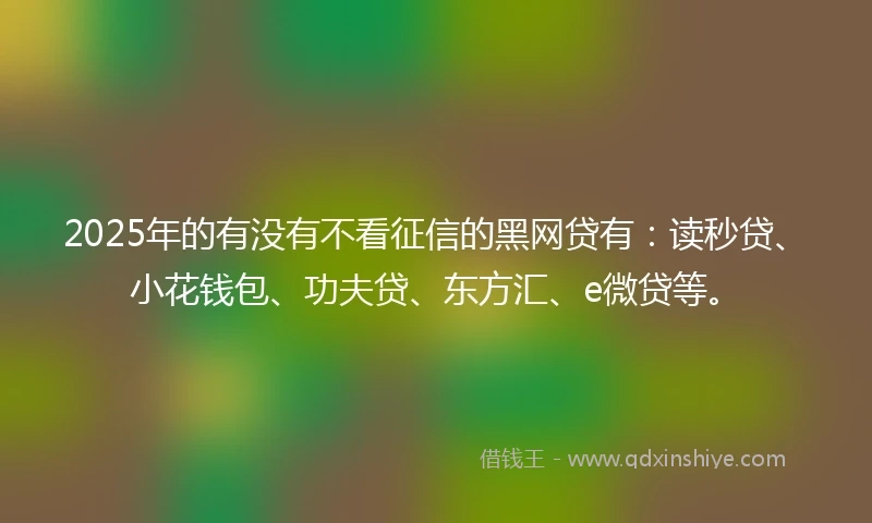 2025年的有没有不看征信的黑网贷有：读秒贷、小花钱包、功夫贷、东方汇、e微贷等。