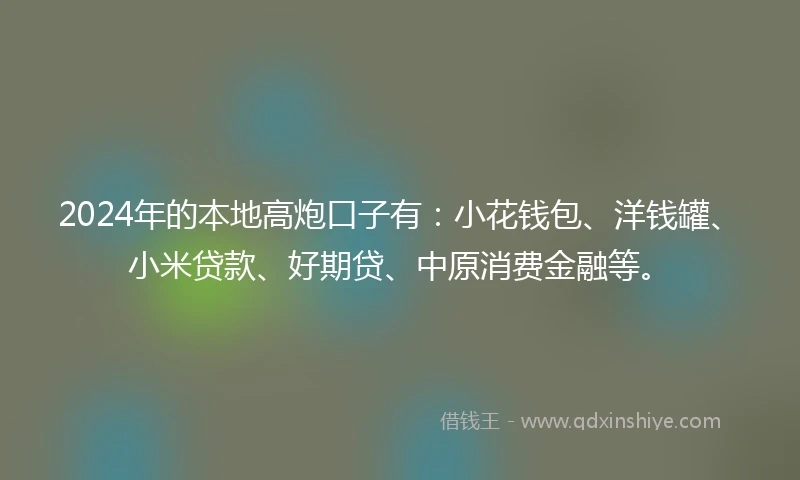 2024年的本地高炮口子有：小花钱包、洋钱罐、小米贷款、好期贷、中原消费金融等。