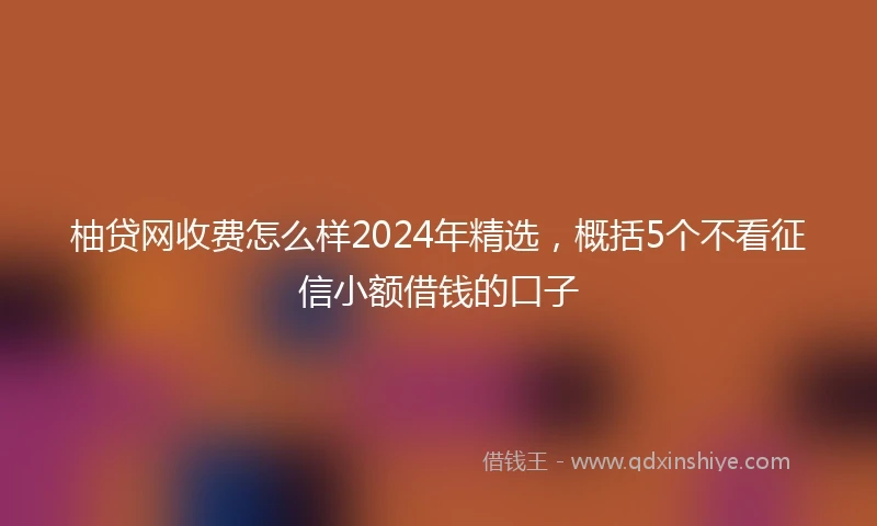 柚贷网收费怎么样2024年精选，概括5个不看征信小额借钱的口子
