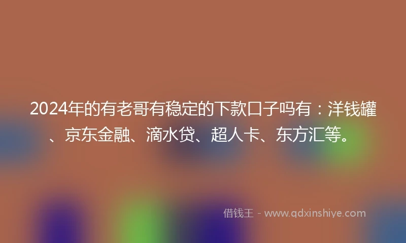 2024年的有老哥有稳定的下款口子吗有：洋钱罐、京东金融、滴水贷、超人卡、东方汇等。