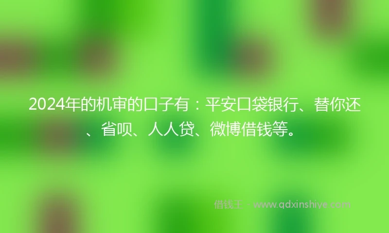 2024年的机审的口子有：平安口袋银行、替你还、省呗、人人贷、微博借钱等。