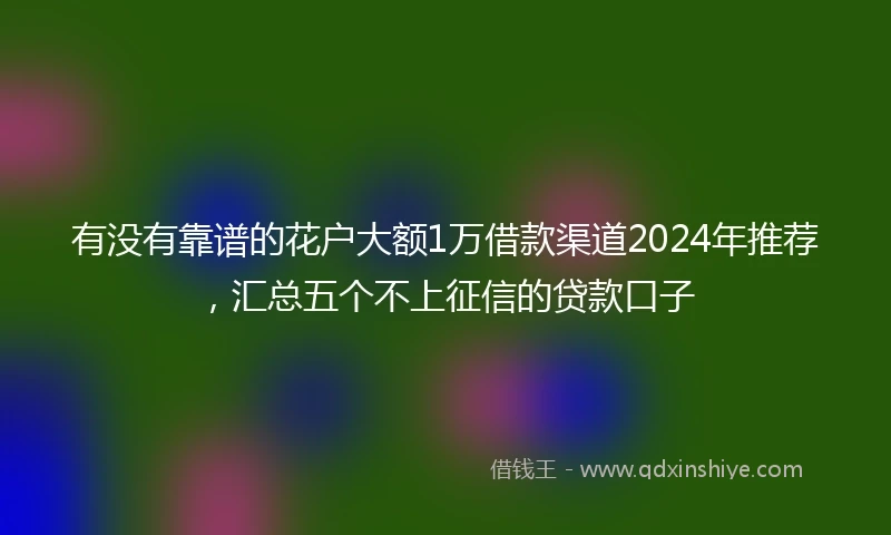 有没有靠谱的花户大额1万借款渠道2024年推荐，汇总五个不上征信的贷款口子