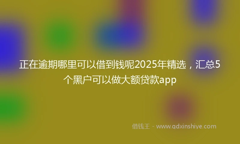 正在逾期哪里可以借到钱呢2025年精选，汇总5个黑户可以做大额贷款app