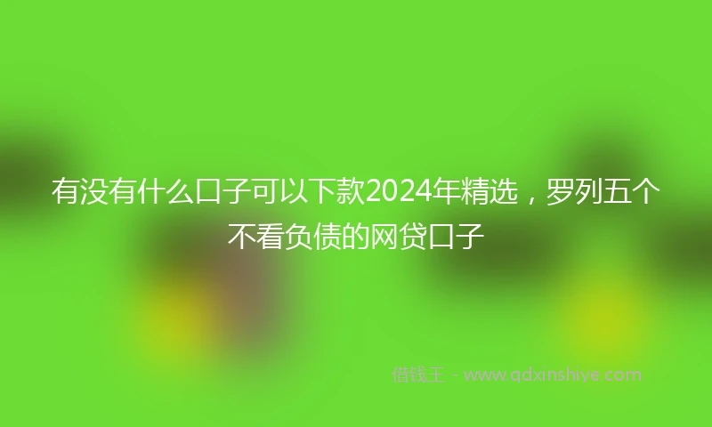 有没有什么口子可以下款2024年精选，罗列五个不看负债的网贷口子