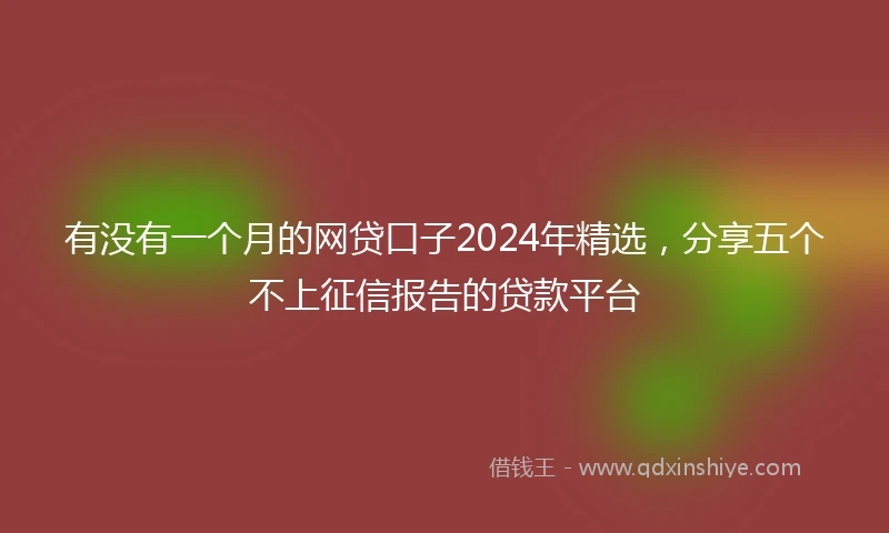 有没有一个月的网贷口子2024年精选，分享五个不上征信报告的贷款平台