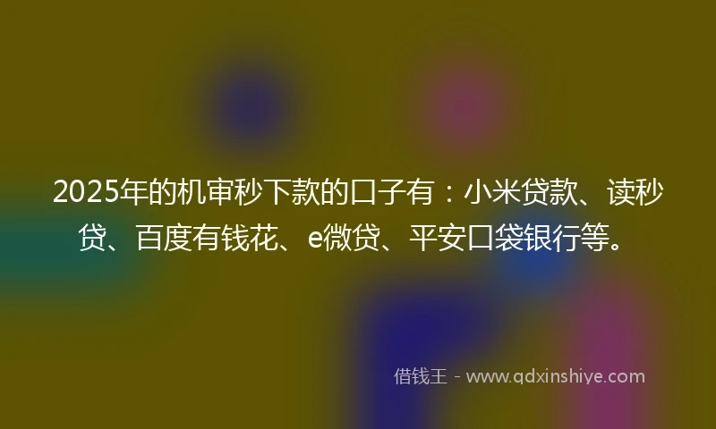 2025年的机审秒下款的口子有：小米贷款、读秒贷、百度有钱花、e微贷、平安口袋银行等。