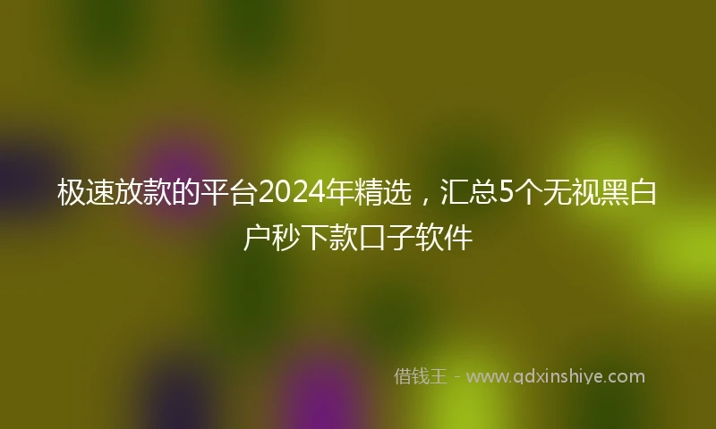 极速放款的平台2024年精选，汇总5个无视黑白户秒下款口子软件