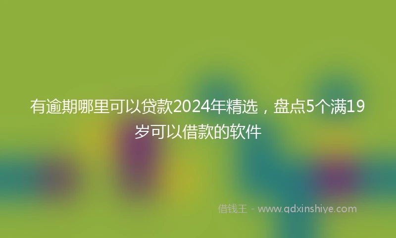 有逾期哪里可以贷款2024年精选，盘点5个满19岁可以借款的软件
