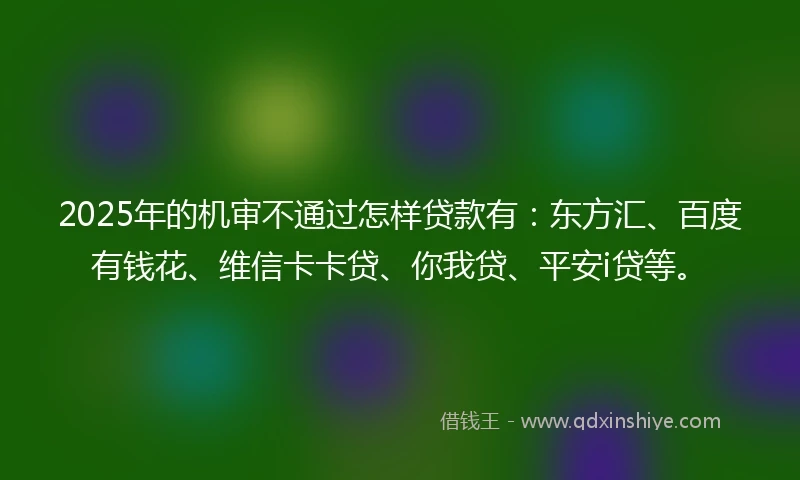 2025年的机审不通过怎样贷款有：东方汇、百度有钱花、维信卡卡贷、你我贷、平安i贷等。