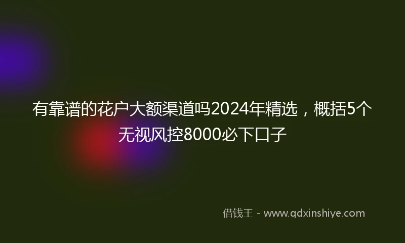 有靠谱的花户大额渠道吗2024年精选，概括5个无视风控8000必下口子