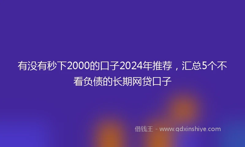 有没有秒下2000的口子2024年推荐，汇总5个不看负债的长期网贷口子