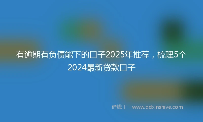 有逾期有负债能下的口子2025年推荐，梳理5个2024最新贷款口子