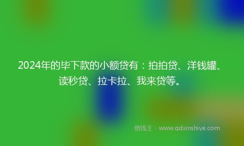 2024年的毕下款的小额贷有：拍拍贷、洋钱罐、读秒贷、拉卡拉、我来贷等。