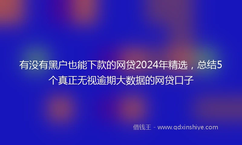 有没有黑户也能下款的网贷2024年精选，总结5个真正无视逾期大数据的网贷口子