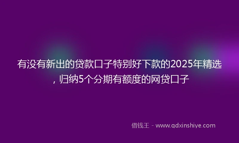 有没有新出的贷款口子特别好下款的2025年精选，归纳5个分期有额度的网贷口子