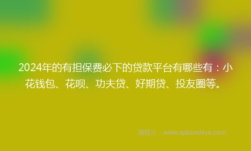 2024年的有担保费必下的贷款平台有哪些有：小花钱包、花呗、功夫贷、好期贷、投友圈等。