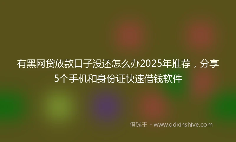 有黑网贷放款口子没还怎么办2025年推荐，分享5个手机和身份证快速借钱软件