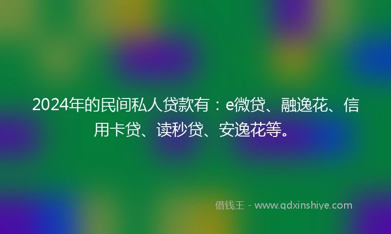 2024年的民间私人贷款有：e微贷、融逸花、信用卡贷、读秒贷、安逸花等。