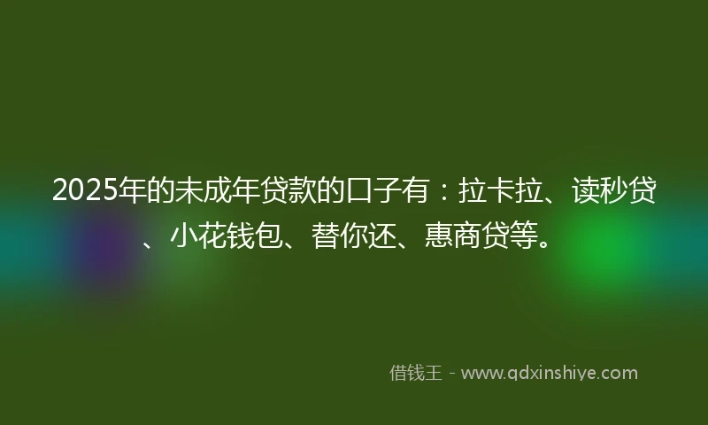 2025年的未成年贷款的口子有：拉卡拉、读秒贷、小花钱包、替你还、惠商贷等。