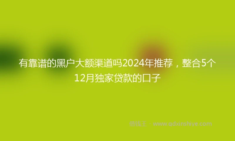 有靠谱的黑户大额渠道吗2024年推荐，整合5个12月独家贷款的口子