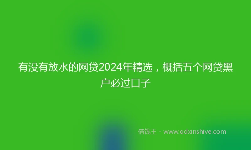 有没有放水的网贷2024年精选，概括五个网贷黑户必过口子