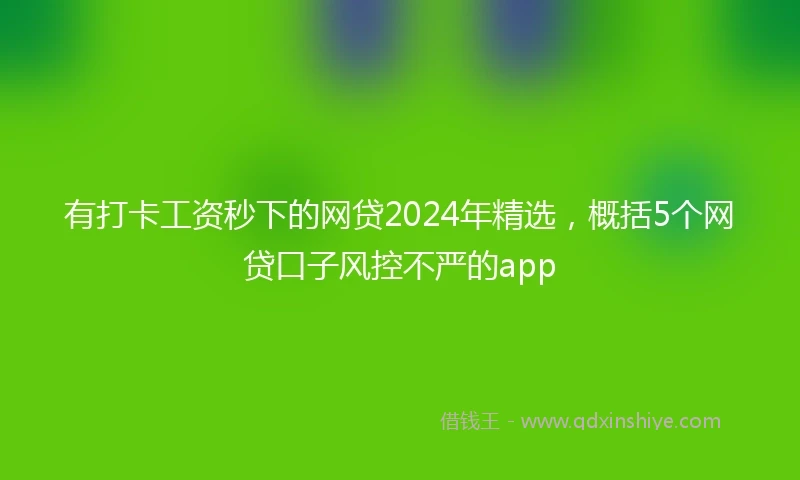 有打卡工资秒下的网贷2024年精选，概括5个网贷口子风控不严的app