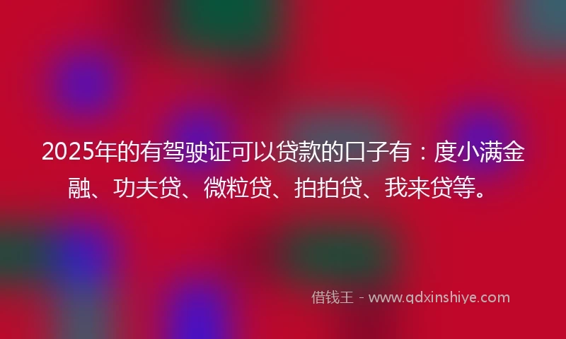 2025年的有驾驶证可以贷款的口子有：度小满金融、功夫贷、微粒贷、拍拍贷、我来贷等。