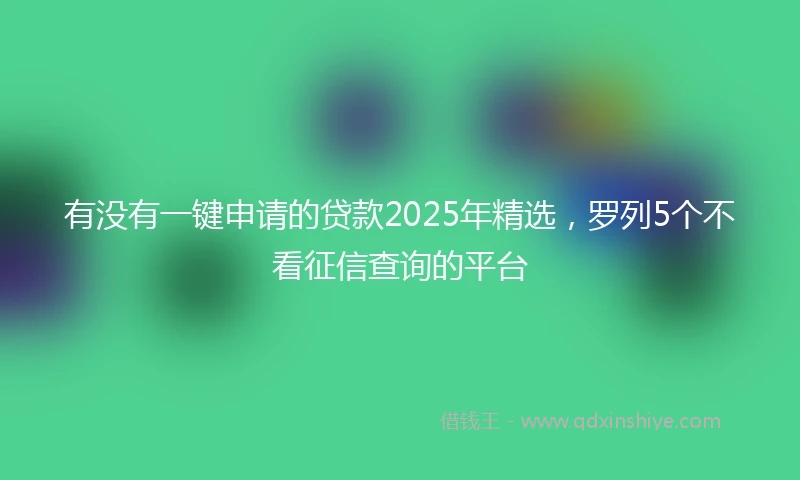 有没有一键申请的贷款2025年精选，罗列5个不看征信查询的平台