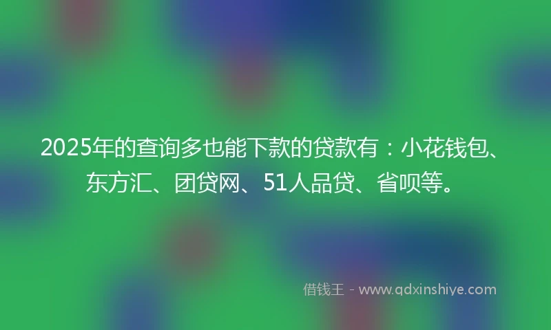 2025年的查询多也能下款的贷款有：小花钱包、东方汇、团贷网、51人品贷、省呗等。