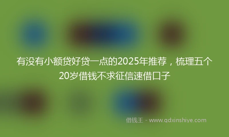 有没有小额贷好贷一点的2025年推荐，梳理五个20岁借钱不求征信速借口子