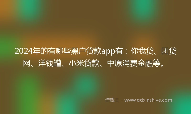 2024年的有哪些黑户贷款app有：你我贷、团贷网、洋钱罐、小米贷款、中原消费金融等。