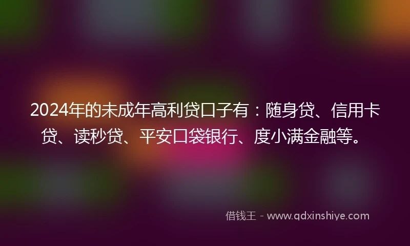 2024年的未成年高利贷口子有：随身贷、信用卡贷、读秒贷、平安口袋银行、度小满金融等。