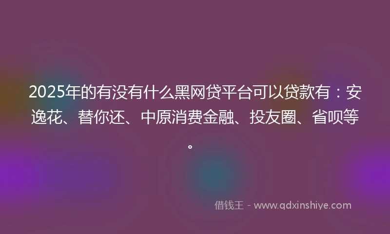 2025年的有没有什么黑网贷平台可以贷款有：安逸花、替你还、中原消费金融、投友圈、省呗等。