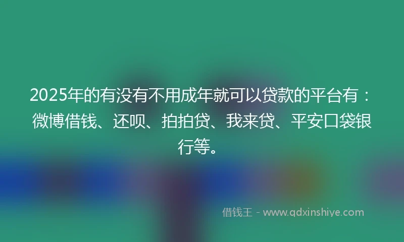 2025年的有没有不用成年就可以贷款的平台有：微博借钱、还呗、拍拍贷、我来贷、平安口袋银行等。