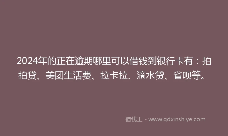 2024年的正在逾期哪里可以借钱到银行卡有：拍拍贷、美团生活费、拉卡拉、滴水贷、省呗等。