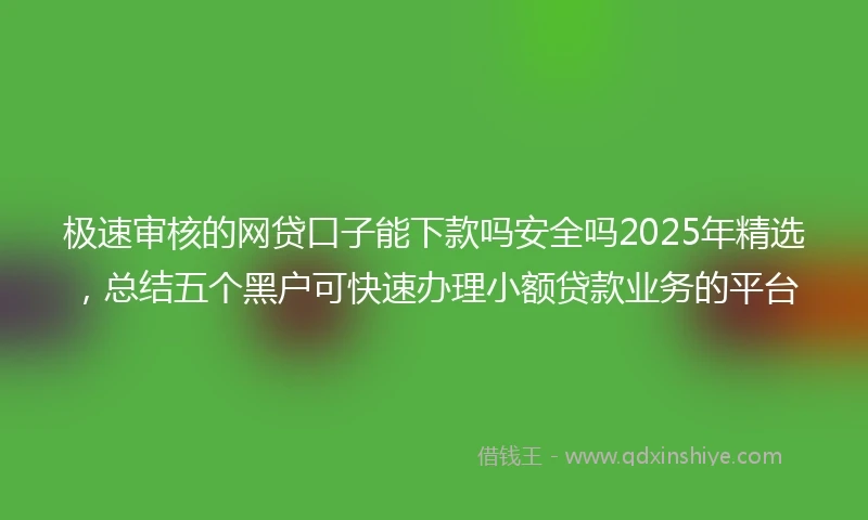 极速审核的网贷口子能下款吗安全吗2025年精选，总结五个黑户可快速办理小额贷款业务的平台