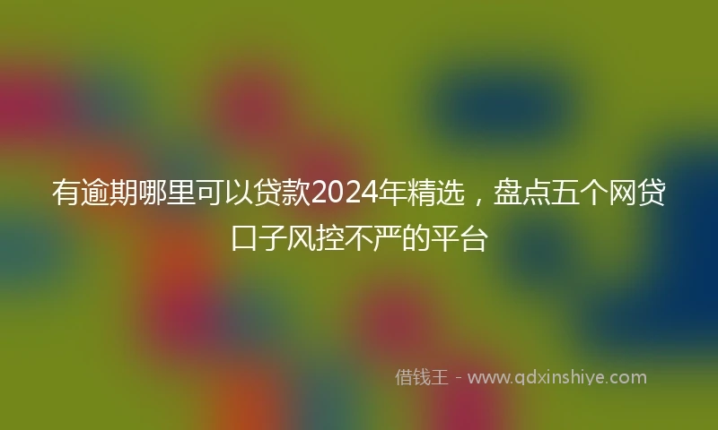 有逾期哪里可以贷款2024年精选，盘点五个网贷口子风控不严的平台