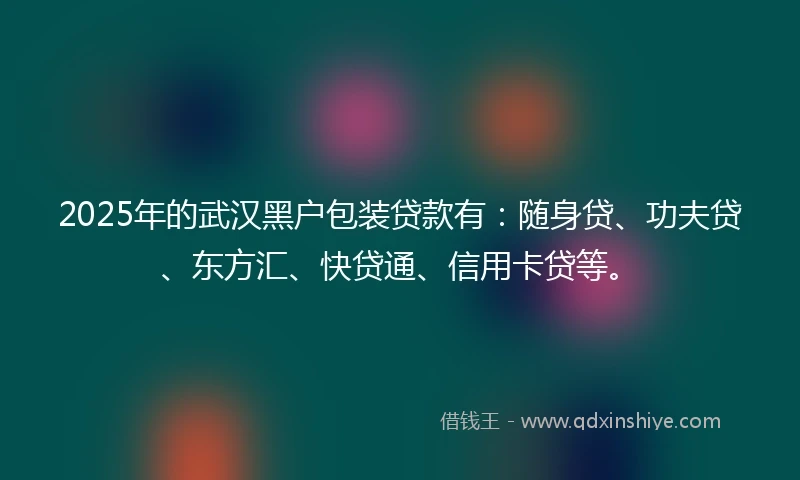 2025年的武汉黑户包装贷款有：随身贷、功夫贷、东方汇、快贷通、信用卡贷等。