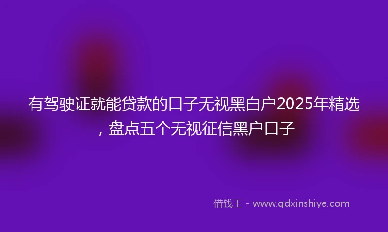 有驾驶证就能贷款的口子无视黑白户2025年精选，盘点五个无视征信黑户口子