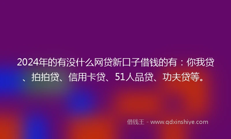 2024年的有没什么网贷新口子借钱的有：你我贷、拍拍贷、信用卡贷、51人品贷、功夫贷等。