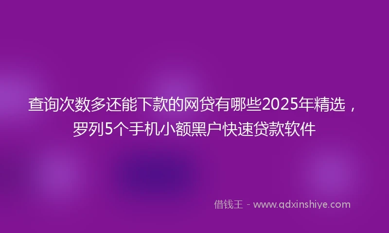 查询次数多还能下款的网贷有哪些2025年精选,罗列5个手机小额黑户快速贷款软件
