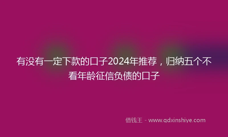 有没有一定下款的口子2024年推荐，归纳五个不看年龄征信负债的口子