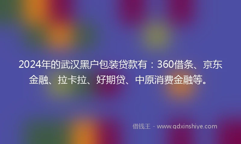 2024年的武汉黑户包装贷款有：360借条、京东金融、拉卡拉、好期贷、中原消费金融等。