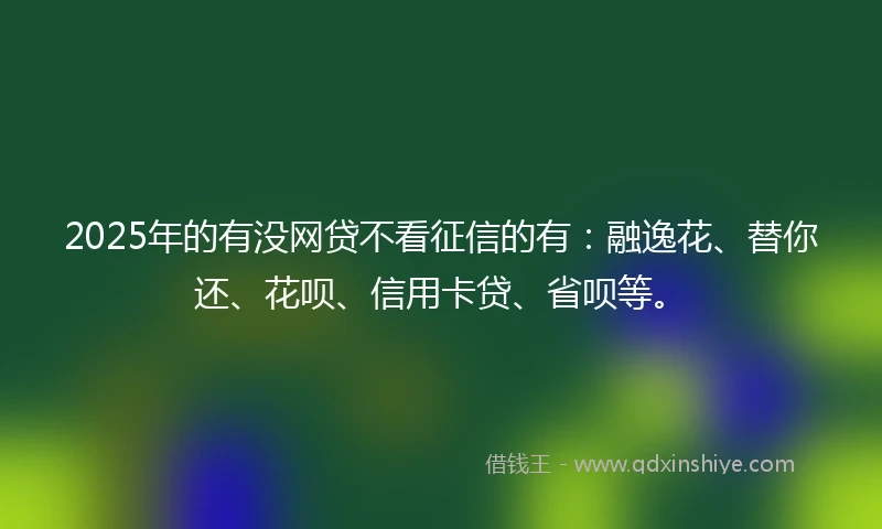 2025年的有没网贷不看征信的有：融逸花、替你还、花呗、信用卡贷、省呗等。