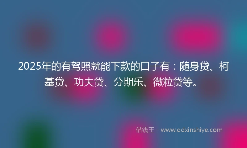 2025年的有驾照就能下款的口子有：随身贷、柯基贷、功夫贷、分期乐、微粒贷等。