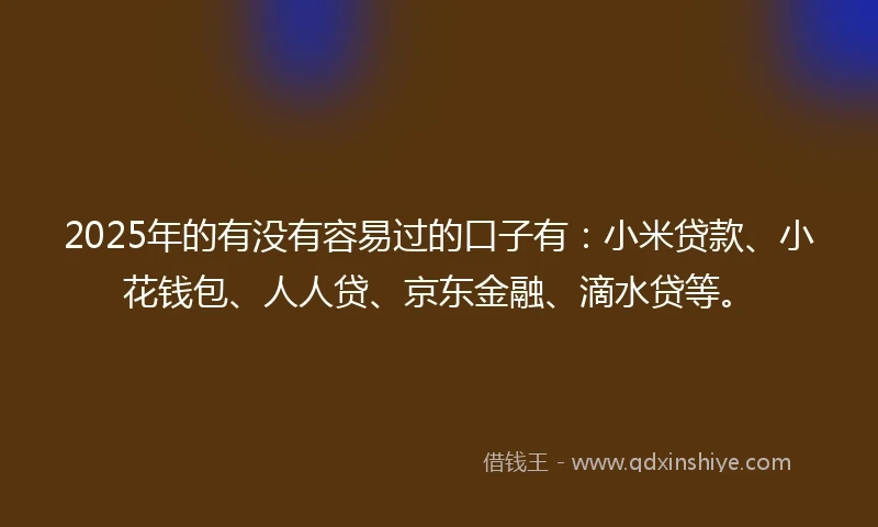 2025年的有没有容易过的口子有：小米贷款、小花钱包、人人贷、京东金融、滴水贷等。