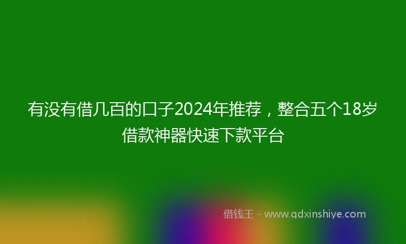 有没有借几百的口子2024年推荐，整合五个18岁借款神器快速下款平台